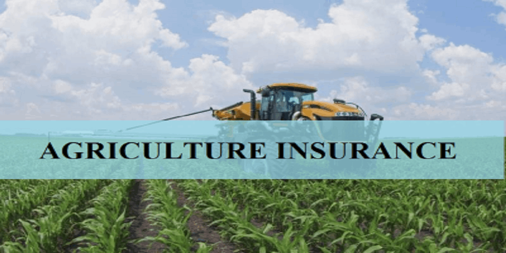 Agriculture Insurance: A Safety Net for Farmers